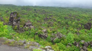 雲に隠れるところまで溶岩が広がる。